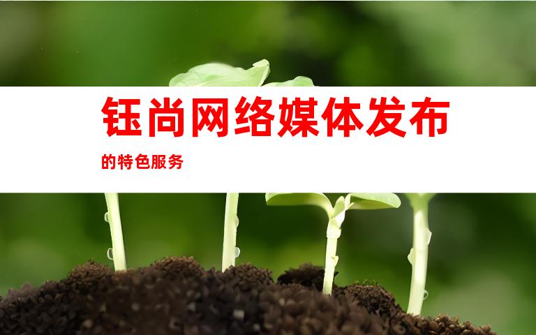 钰尚网络媒体发布的特色服务