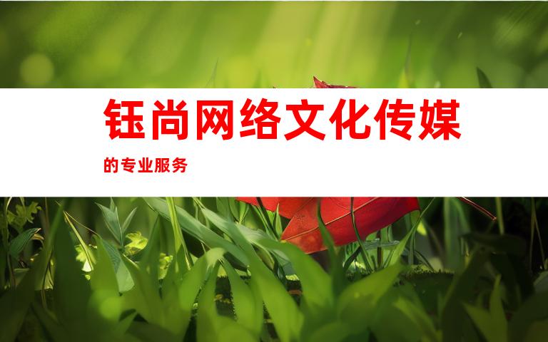 钰尚网络文化传媒的专业服务