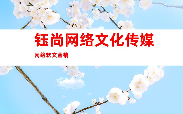 钰尚网络文化传媒网络软文营销