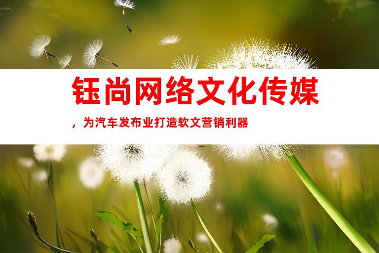 钰尚网络文化传媒，为汽车发布业打造软文营销利器