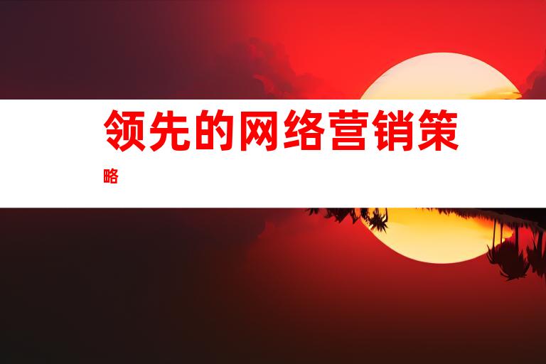 领先的网络营销策略
