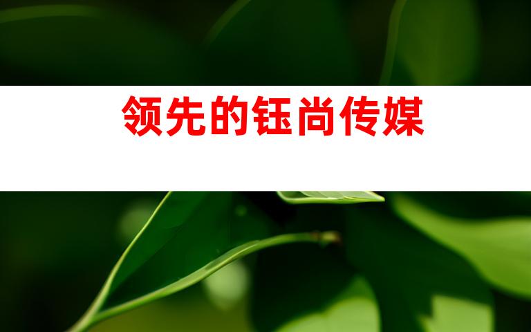 领先的钰尚传媒