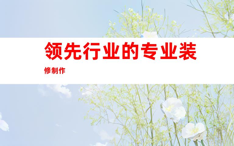 领先行业的专业装修制作