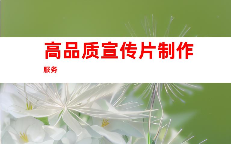 高品质宣传片制作服务