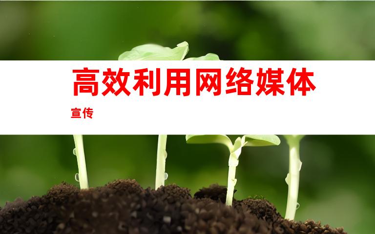 高效利用网络媒体宣传