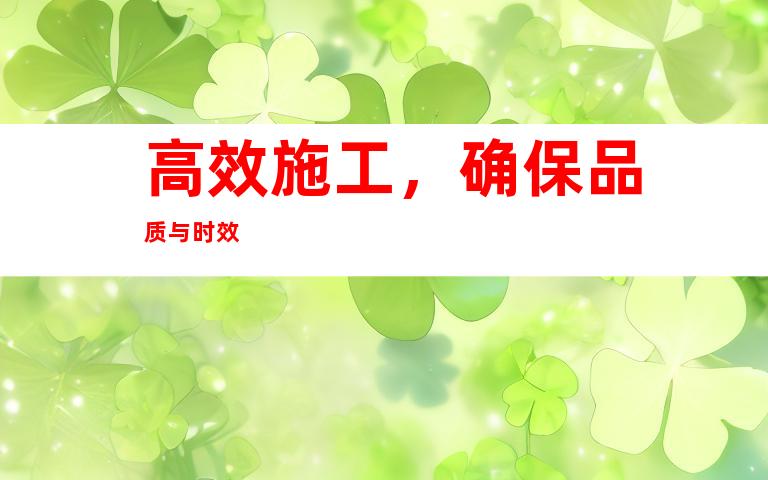 高效施工，确保品质与时效