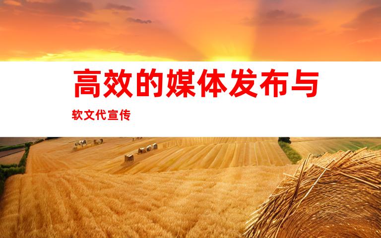 高效的媒体发布与软文代宣传