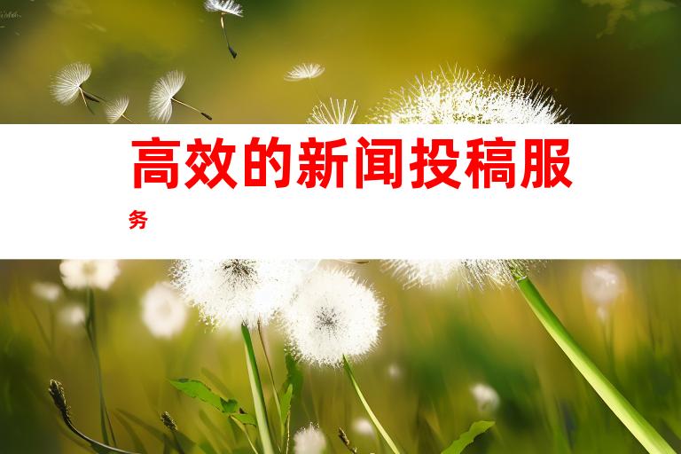高效的新闻投稿æœåŠ¡