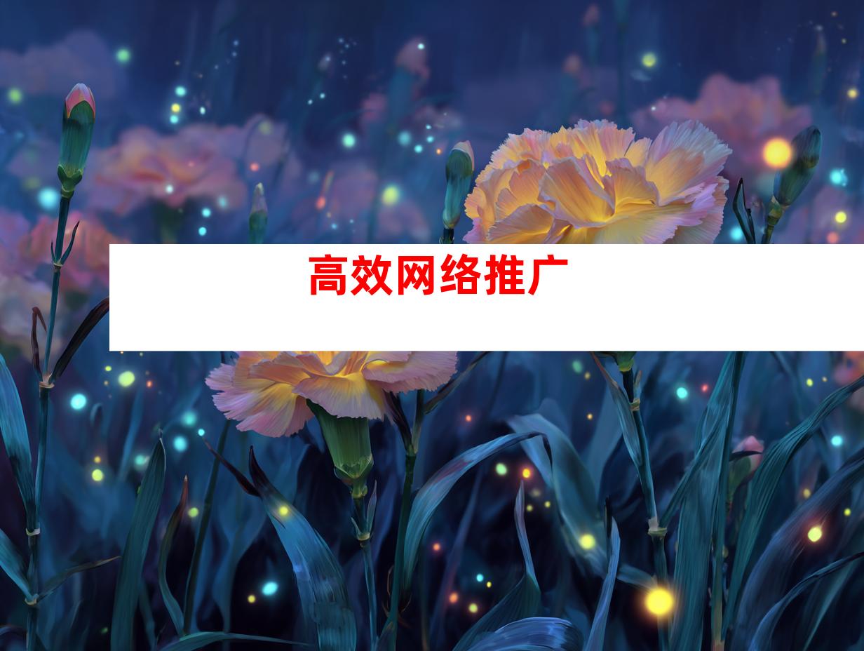 高效网络推广