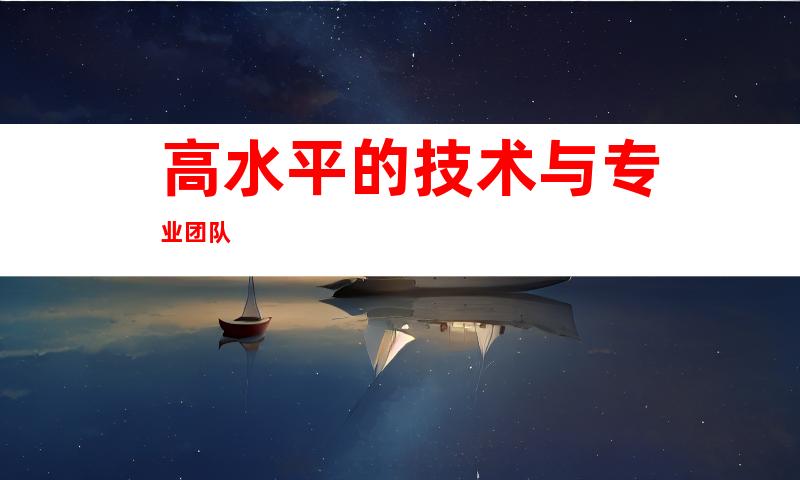 高水平的技术与专业团队
