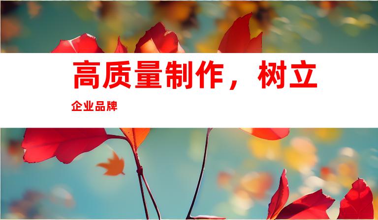 高质量制作，树立企业品牌