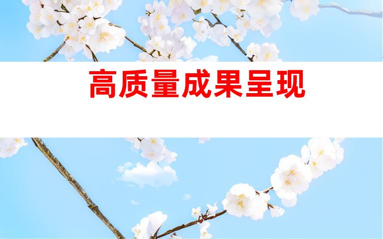 高质量成果呈现