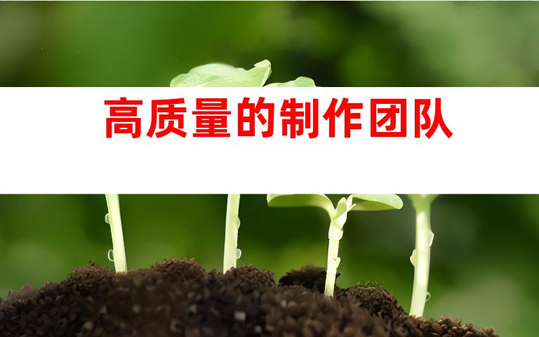 高质量的制作团队