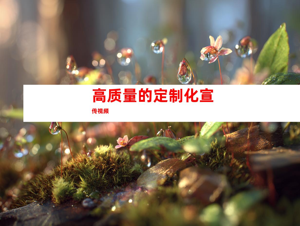 高质量的定制化宣传视频