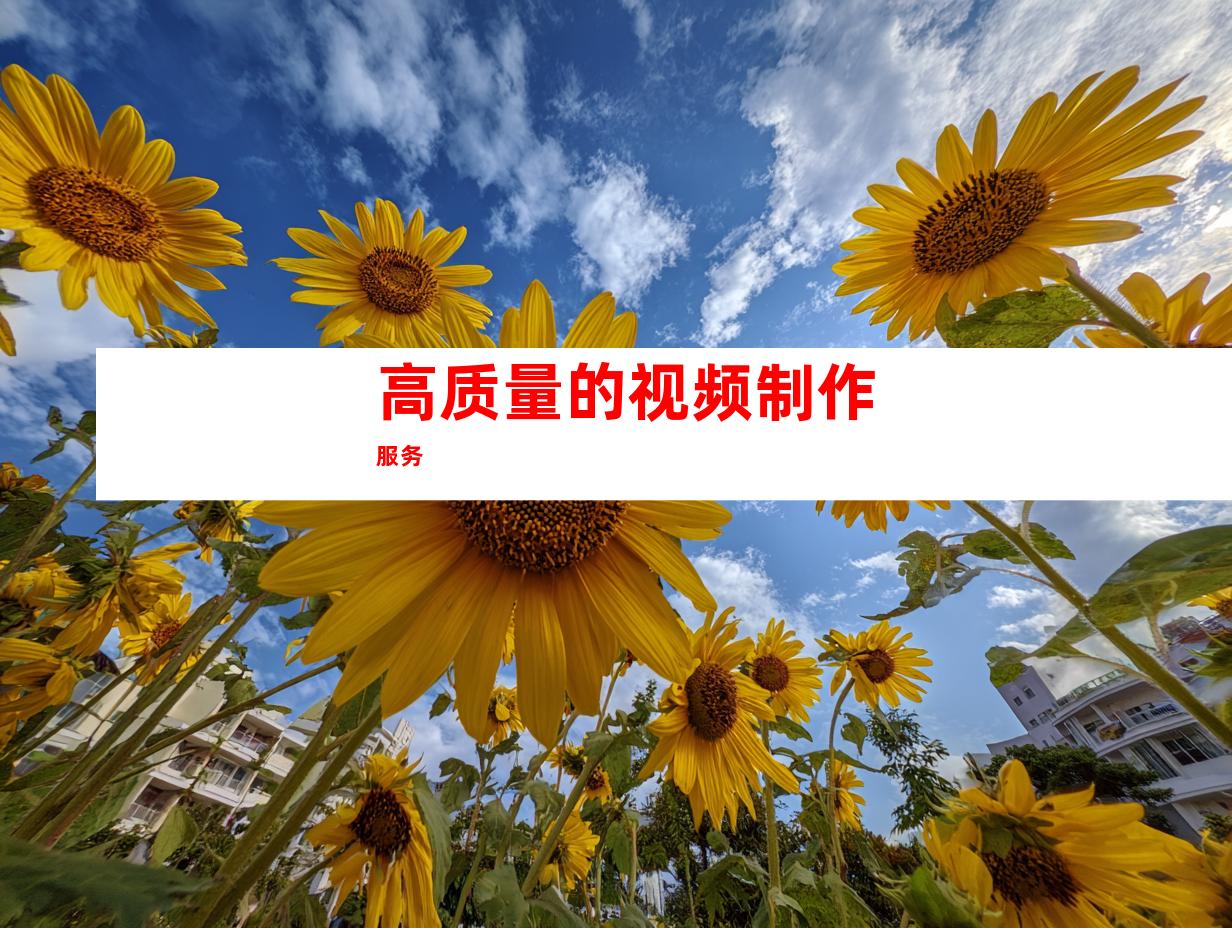 高质量的视频制作服务