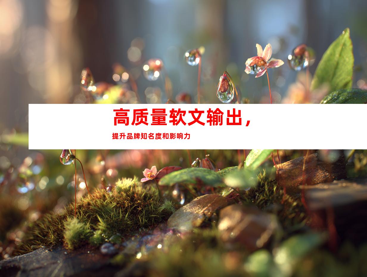高质量软文输出，提升品牌知名度和影响力