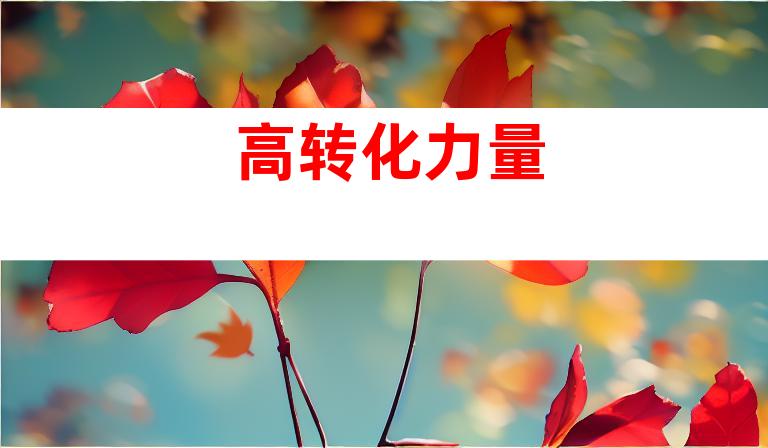 高转化力量