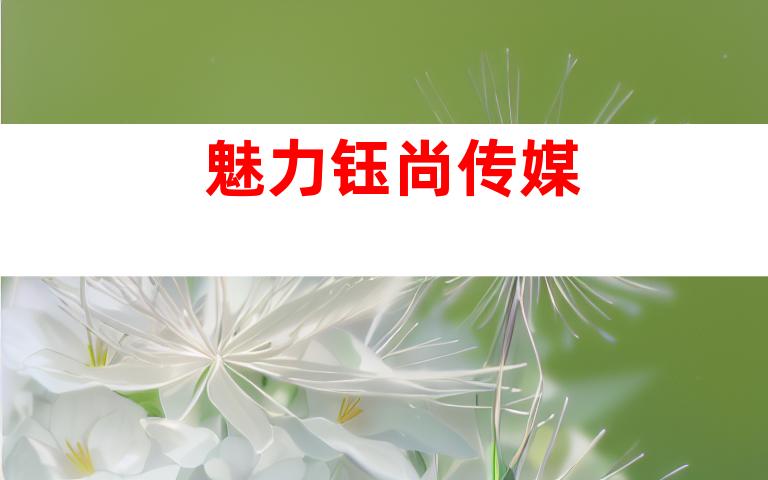 魅力钰尚传媒