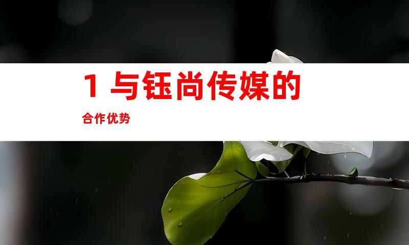 1. 与钰尚传媒的合作优势