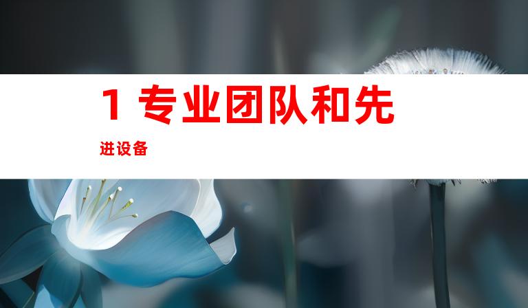 1. 专业团队和先进设备