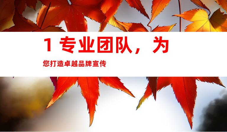 1. 专业团队，为您打造卓越品牌宣传