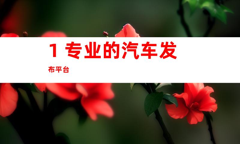 1. 专业的汽车发布平台