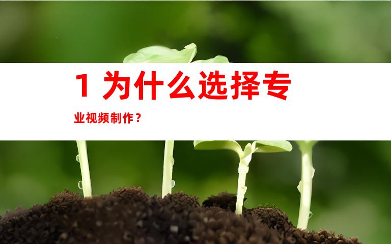 1. 为什么选择专业视频制作？