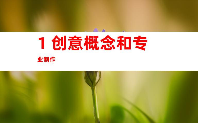 1. 创意概念和专业制作
