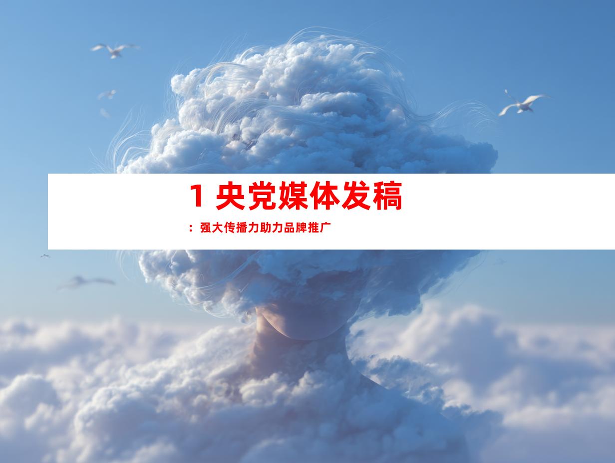 1. 央党媒体发稿：强大传播力助力品牌推广