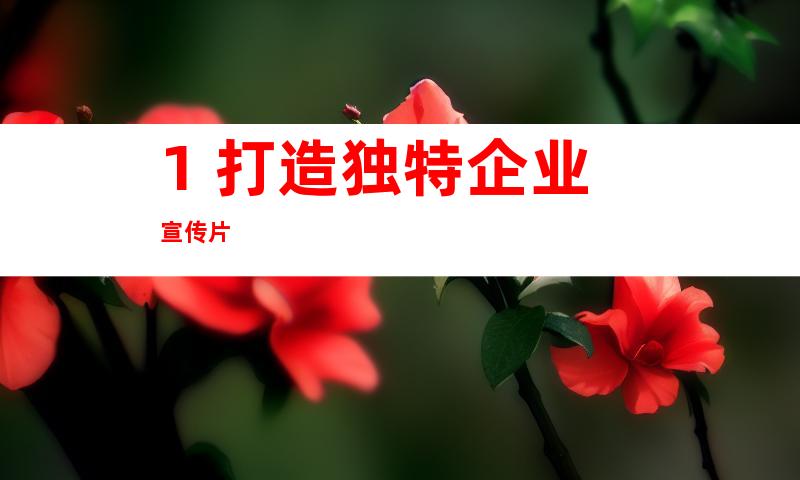 1. 打造独特企业宣传片