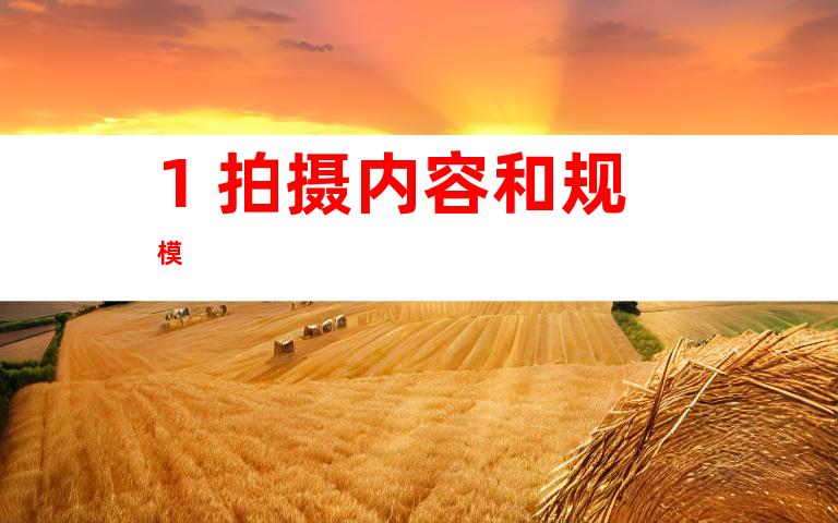 1. 拍摄内容和规模