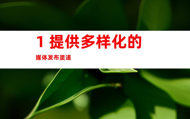 1. 提供多样化的媒体发布渠道