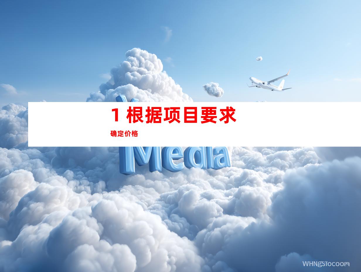1. 根据项目要求确定价格