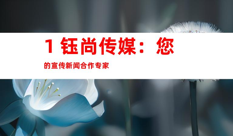 1. 钰尚传媒：您的宣传新闻合作专家