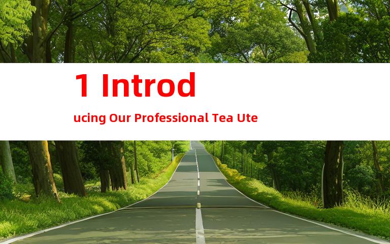 1. Introducing Our Professional Tea Utensils