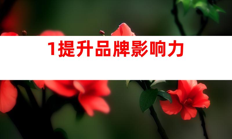 1.提升品牌影响力