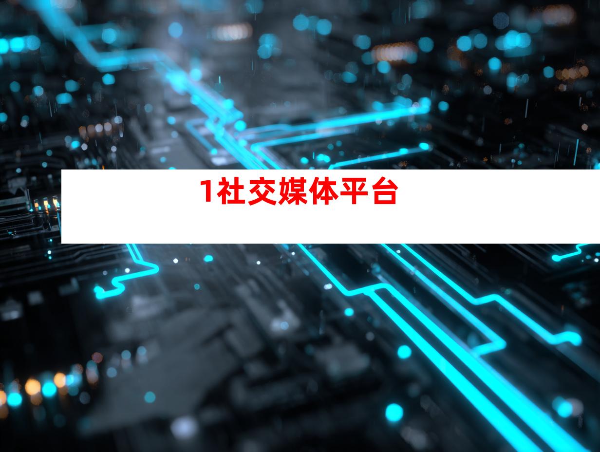 1.社交媒体平台