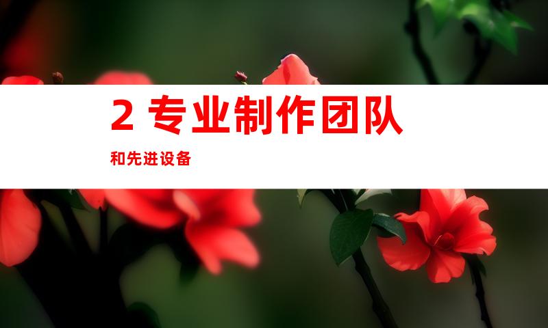 2. 专业制作团队和先进设备