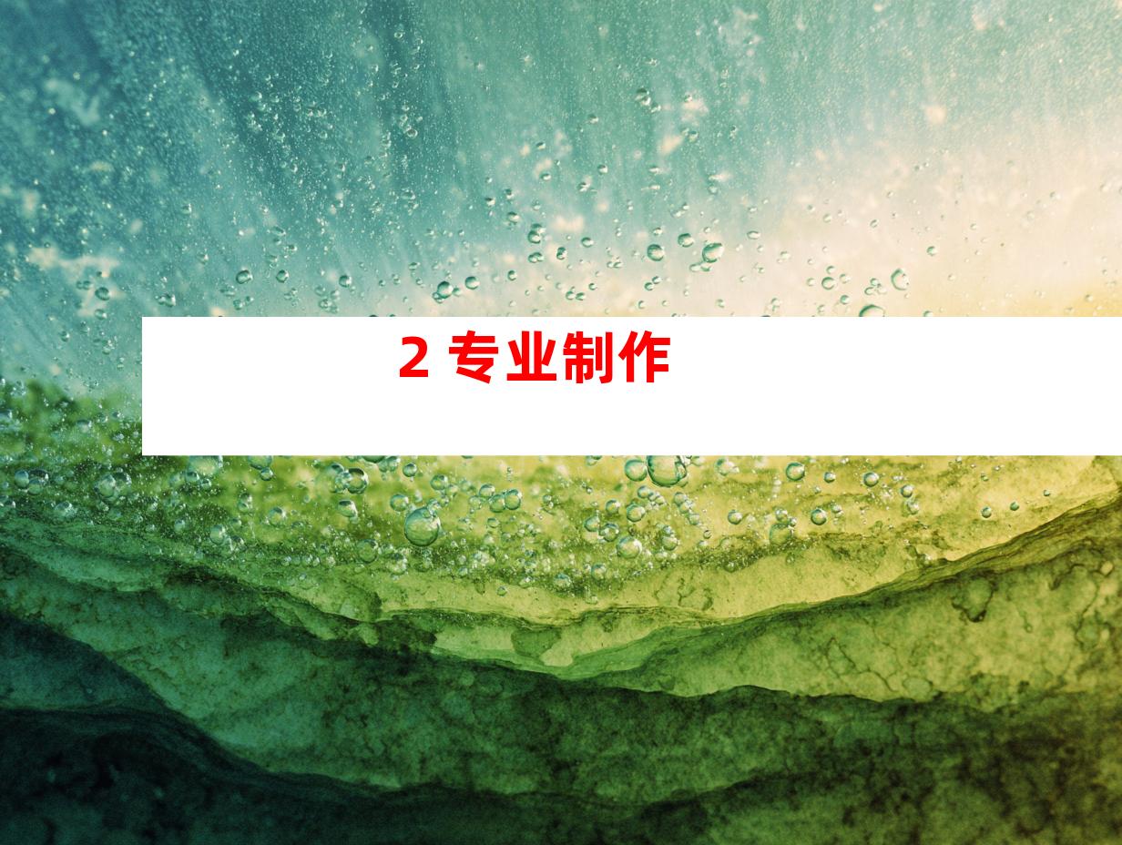 2. 专业制作