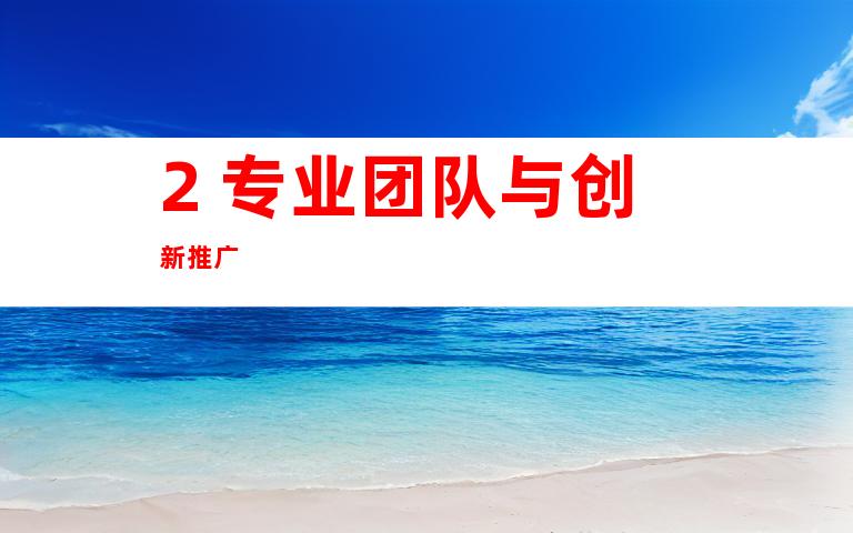 2. 专业团队与创新推广