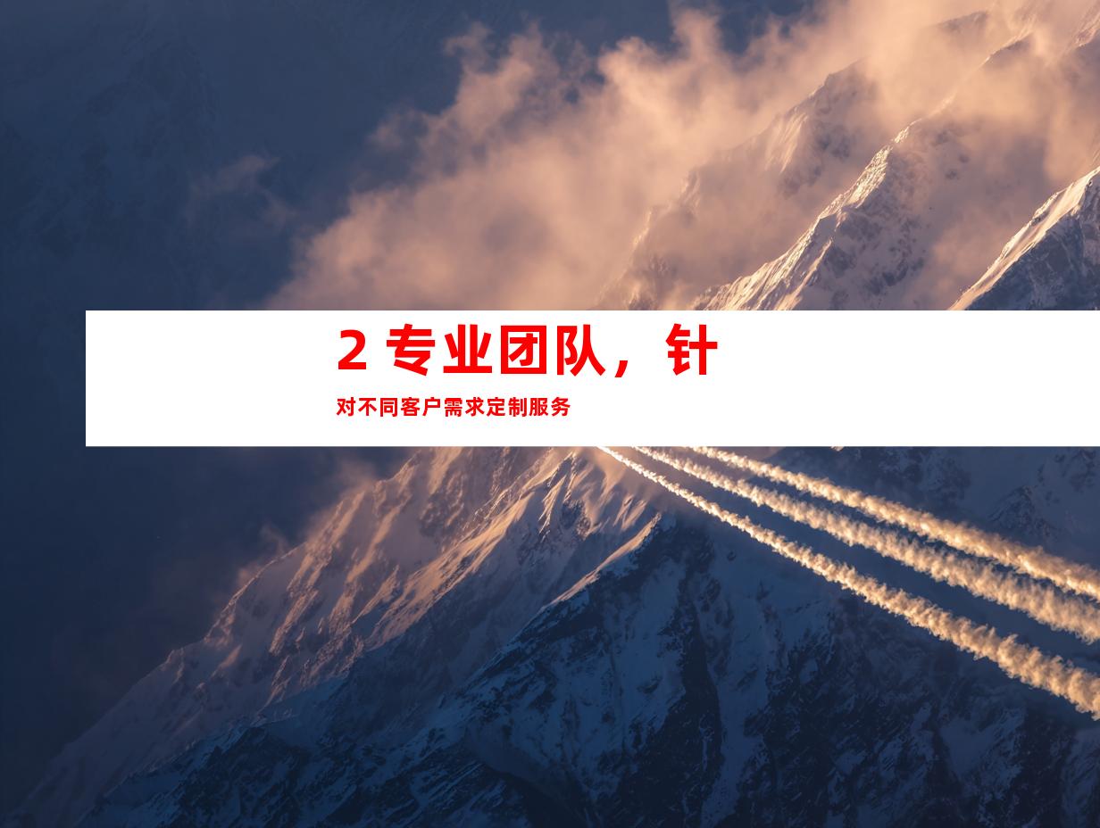 2. 专业团队，针对不同客户需求定制服务