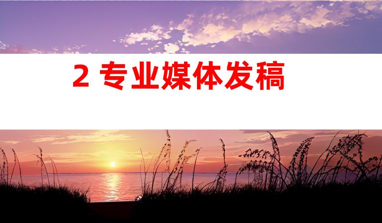 2. 专业媒体发稿