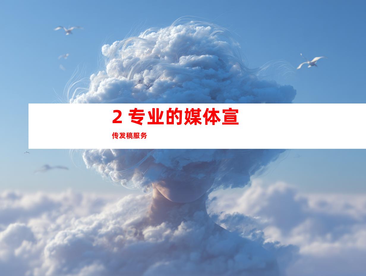 2. 专业的媒体宣传发稿服务