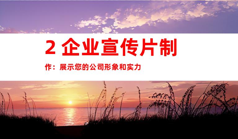 2. 企业宣传片制作：展示您的公司形象和实力