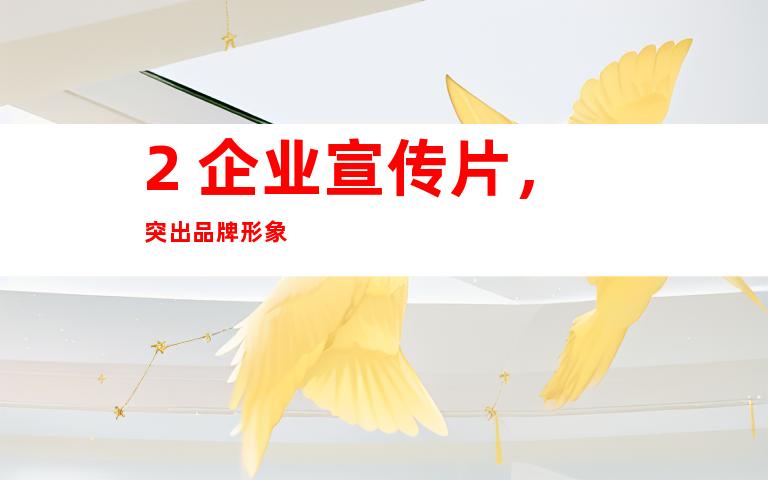 2. 企业宣传片，突出品牌形象