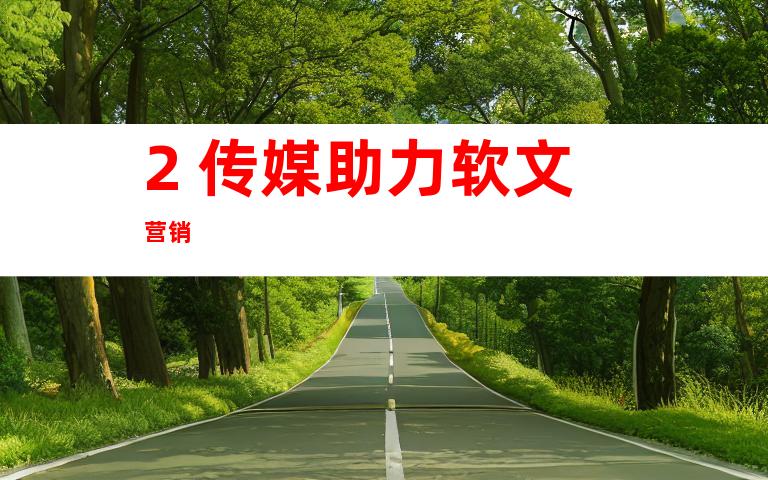 2. 传媒助力软文营销