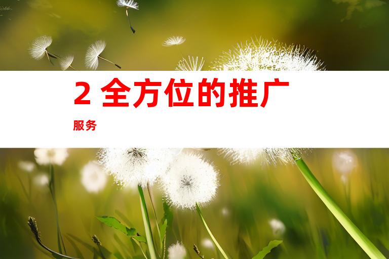 2. 全方位的推广服务
