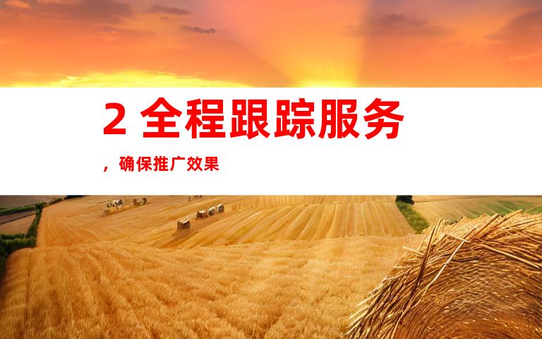 2. 全程跟踪服务，确保推广效果