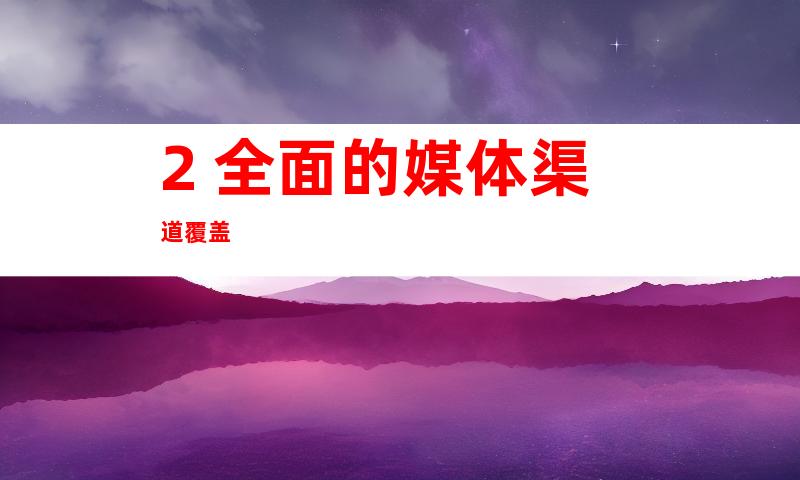 2. 全面的媒体渠道覆盖