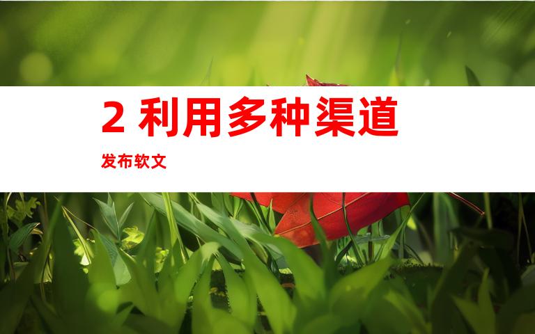 2. 利用多种渠道发布软文